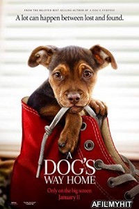 A Dogs Way Home (2019) Hindi Dubbed Movie BlueRay